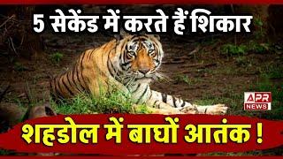 Tiger Movement in Shahdol: क्या है बाघ की दहशत की कहानी? || MP Shahdol Tiger Alert |