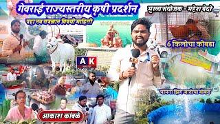 गेवराई•राज्यस्तरीय कृषी प्रदर्शनात नवतंत्रज्ञानाची माहिती सांगता स्टॉल दुकानदार |चायनाचा बोकड,कोंबडा