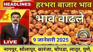 ⭕ 9 जानेवारी2024|अकोला हरभरा बाजार भाव | harbara bajar bhav today |चना बाजार भाव | chana bhav today