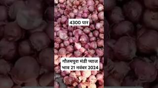 गौतमपुरा मंडी प्याज भाव 21 नवंबर 2024