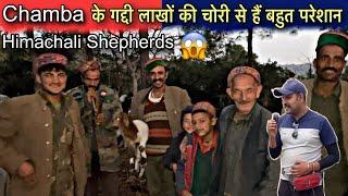 Chamba के गद्दी जंगलों में चोरी से हैं बहुत परेशान | Himalayan Shepherds Lifestyle