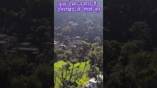 जो  जशपुर देई दैणी  हव जैई  नरेन्द्र  सिंह  नेगी  #garhwali  # songs  # शॉर्ट