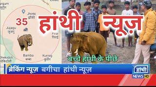 "कुनकुरी और बगीचा: हाथियों का मूवमेंट, ग्रामीण सतर्क रहें!" hathi news ElephantNews-md