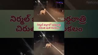 నిర్మల్ జిల్లాలో అర్ధరాత్రి చిరుతపులి కలకలం ||