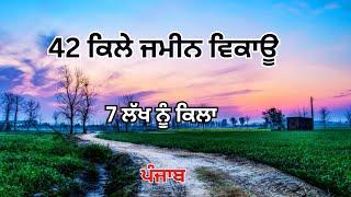 42 ਕਿਲੇ ਜਮੀਨ ਵਿਕਾਊ 7 ਲੱਖ ਨੂੰ ਕਿਲਾ ਪੰਜਾਬ