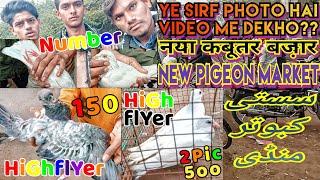 Kabutar Bazar Dhule New #Pigeon Market Maharashtra India नया कबूतर बज़ार महाराष्ट्र इंडिया کبوتربجار