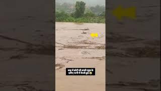 #_  गंगा मां के कहर भागलपुर नवगछिया एक बच्चा टुयू से तैरती हुई जा रहे हैं