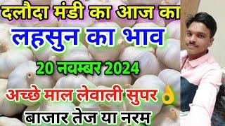 दलौदा मंडी आज का लहसुन का भाव 20 नवम्बर 2024 |garlic rate today daloda