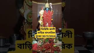 জয় মা🙏 দুর্গাপুর ভিরিঙ্গি কালীবাড়ি বাৎসরিক পুজো 2024