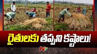 Vizianagaram: వర్షాలతో వరి కోతలు పూర్తయిన రైతులకు తప్పని కష్టాలు! | Ntv