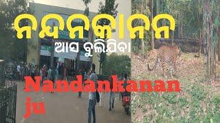 ନନ୍ଦନକାନନ//Nandankanan//Bhubaneswar//