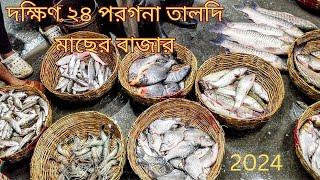 দক্ষিণ ২৪ পরগনা তালদি মাছের বাজার 2024 | Taldi Fish Market | সুন্দরবন |