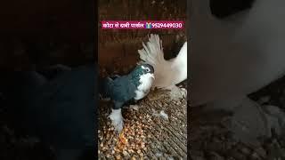 कोटा से दाबी पार्सल 🎁 कोटा, राजस्थान से 📞9529449030