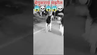 बेगूसराय के छोरा