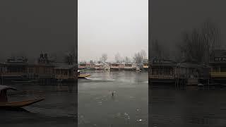 Dal Lake has started to Freeze. Srinagar Kashmir Weather update 21 December 2024 • No Snowfall yet