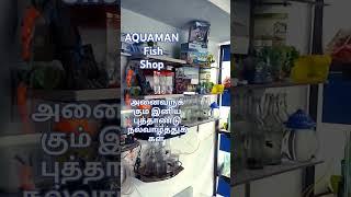 AQUAMAN FISH SHOP  சாய் மஹால் பின்புறம் சூலக்கரை விருதுநகர்   HAPPY NEW YEAR 2025