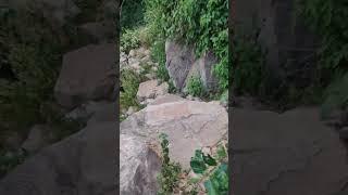 ShortCut Rasta l Rohtas fort k liye l Rohtas Qila ka Anokha Safar l Rohtas vlogs l Exploring Rohtas