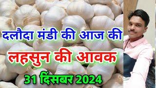 दलोदा मंडी आज के लहसुन  की आवक 31 दिसंबर 2024 daloda ki lahsun ki aavk