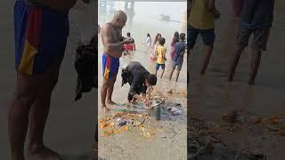 सिमरिया व्लॉग वायरल वीडियो सिमरिया धाम#short reels#simriya ghat#ganga snan