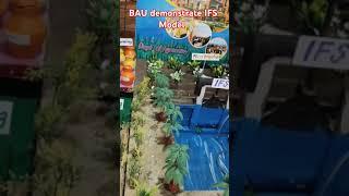 Bihar Agricultural University Sabour Bhagalpur Bihar, Agronomy model