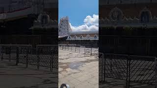 Tirumala | Tirupati Andhra Pradesh India