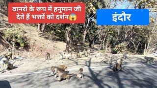 झाड उखाड़ प्राचीन श्री हनुमान मंदिर   !  🚩🚩    indore khandwa Road! Hidden place in indore