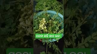 ଥରେ  ବନେଇ ଖାଆନ୍ତୁ ମାଆ କଥା ମନେ ପଡି ଯିବ