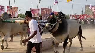 ధర్మవరం న్యూ కేటగిరి మొదటి విజేత 💥వజ్రాల తేజాశ్రీరెడ్డి సంతమాగులూరు బాపట్ల జిల్లా...5611.071🏆🏆🏆🏆🏆🏆💥