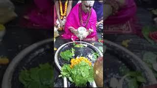 Baba Baidyanath Jyotirling Jalabhishek