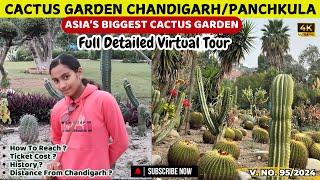 Cactus Garden Chandigarh | Cactus Garden Panchkula | Botanical Garden Chandigarh | Chandigarh Tour