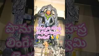 పొన్నూరు సహస్ర లింగేశ్వర స్వామి టెంపుల్  #sorts #viralvideo # Shiva Lord # Hanuman🙏🙏🙏🙏