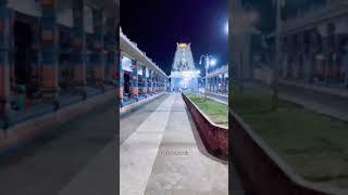 మహానంది దేవాలయం ##హర హర శంభో శంభో ✨దేవ మహాదేవ🙏🙏 night view 💫