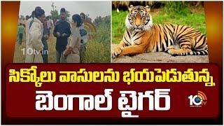 సిక్కోలు వాసులను భయపెడుతున్న బెంగాల్ టైగర్ | Bengal Tiger Halchal in srikakulam district | 10TV