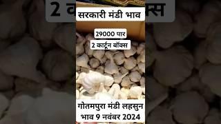 गोतमपुरा मंडी लहसुन भाव 9 नवंबर 2024