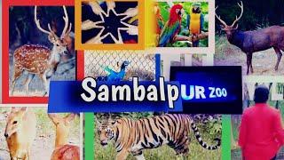 ll ସମ୍ବଲପୁର ଚିଡ଼ିଆଖାନା ll Sambalpur Deer Park ll Sambalpur Zoo ll