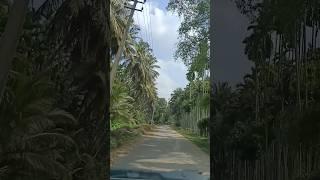 Exploring Untouched Nature | Scenic Road Journey