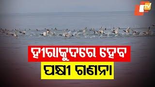 Foreign Bird Census To Begin in Hirakud Dam From January 18