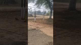 New crickets🏏 ground Hasanpur #cricket #india #shortviral #Short Tranding#Short feed#Parveen jaatu