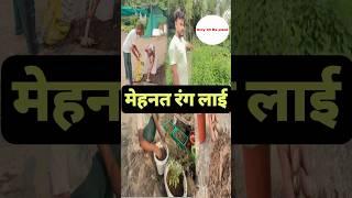 😮 🔥😍 Cheap and Best Quality Plant Nursery In South West Delhi ||