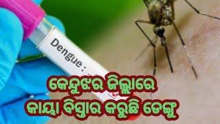 ll କେନ୍ଦୁଝର ଜିଲ୍ଲା ରେ କାୟା ବିସ୍ତାର କରୁଛି ଡେଙ୍ଗୁ ll