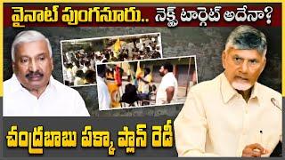 వైనాట్ పుంగనూరు... నెక్స్ట్ టార్గెట్ అదేనా? - punganuru news - Peddireddy ysrcp - Meta News Telugu