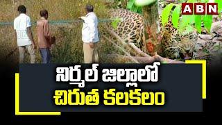 నిర్మల్ జిల్లాలో చిరుత కలకలం | Leopard spotted at Nirmal District | ABN Telugu