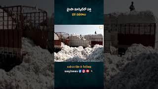 భైంసా మార్కెట్లో మోగిన పత్తి ధరలు: ప్రైవేట్ vs సీసీఐ రేట్లు | Adilabad | Telangana | Way2news Telugu