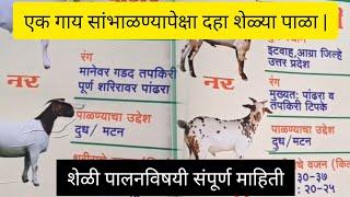 एक गाय सांभाळण्यापेक्षा दहा शेळ्या पाळा | डॉ. संजीव नागे अकोला | Goat Farming