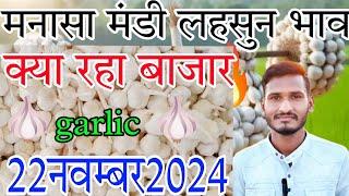 22 नवंबर 2024 मनासा मंडी लहसुन भाव देखीए क्या रहा आज बाजार Manasa mandi lahsun bhav