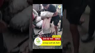 आज़ादपुर मंडी में आज का ताज़ा चुकंदर भाव | जानिए नई दिल्ली का लेटेस्ट Beetroot Price!