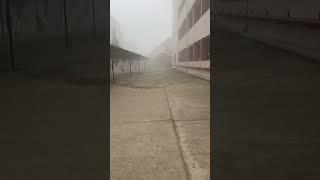 Fogy Morning || Ambala || Mmu University || Mullana || Winter