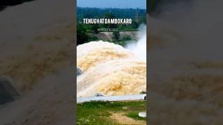 #tenughat #bokaro #tenughatdam gomia #monsoon2024 #jharkhandbokaro #viralvideo #shortsvideo #