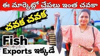 Want the Best Seafood Experience? Kakinada Fish Market Tour Now!