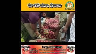 #Apple #auction के साथ सेब मंडी सोलन की विस्तृत रिपोर्ट।। 26 सितंबर 2024 किसान न्यूज Kisaan News